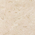 2cm Porcelain Pavers - Shell Stone